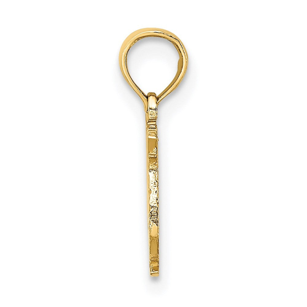 14k Yellow Gold 100% PISCES Zodiac Charm