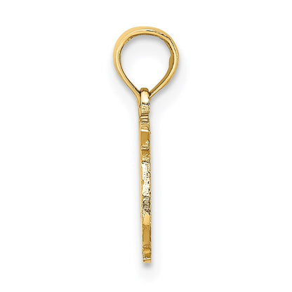 14k Yellow Gold 100% PISCES Zodiac Charm