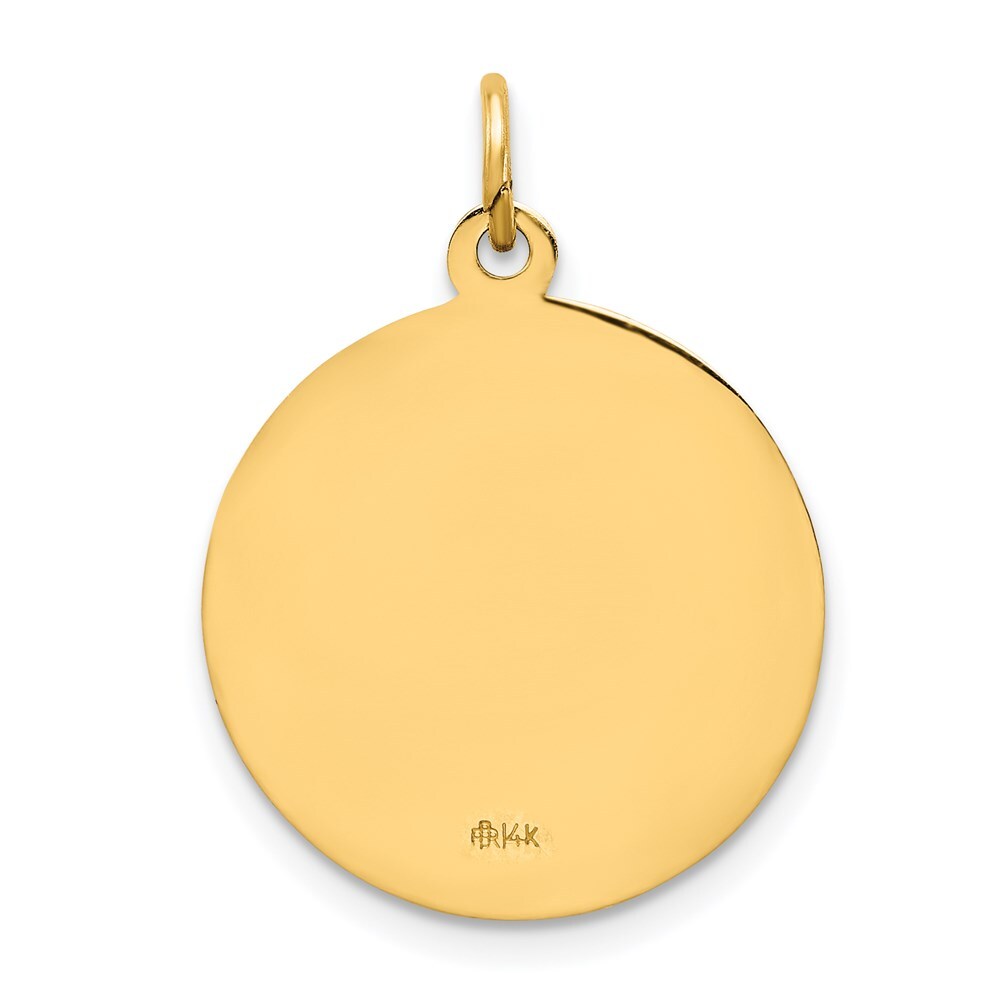 14k Yellow Gold Solid Polished/Satin Round Our Lady of Guadalupe Medal Pendant