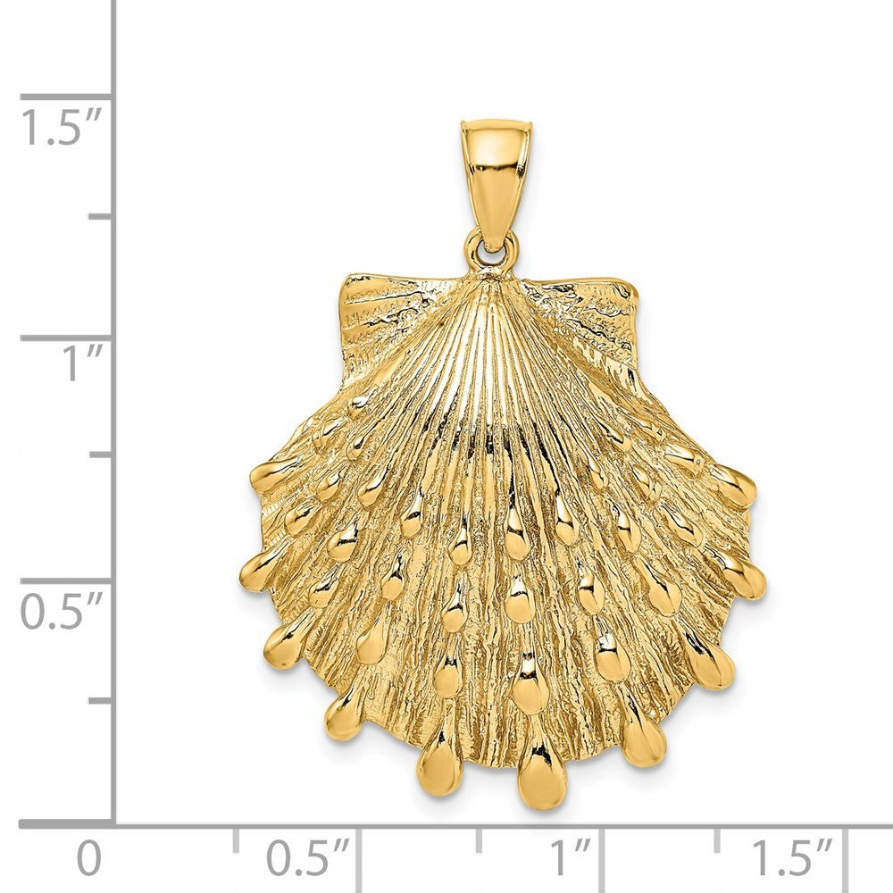 14k Yellow Gold Lion's Paw Shell Charm