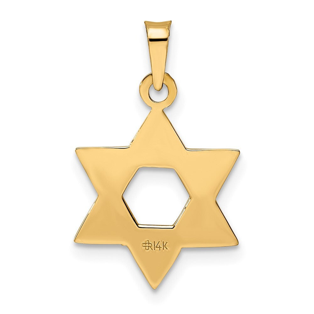 14k Rose Gold Rose Polished Solid Star of David Pendant for Women