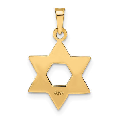 14k Rose Gold Rose Polished Solid Star of David Pendant for Women