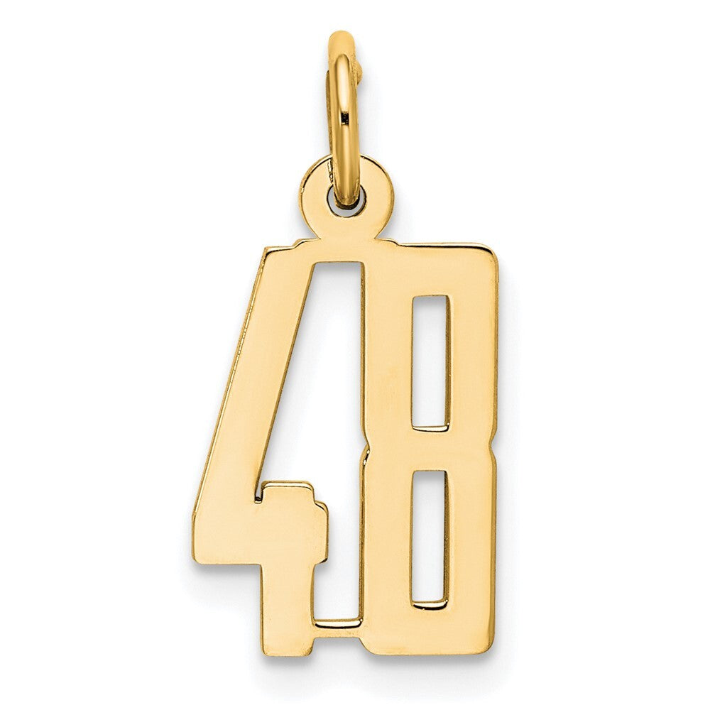 14k Yellow Gold Small Elongated Number 48 Charm Pendant for Women