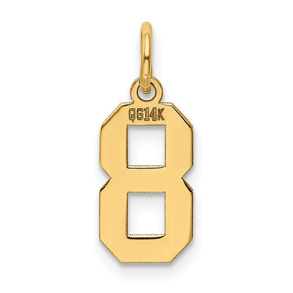 14k Yellow Gold Small Polished Number 8 Charm
