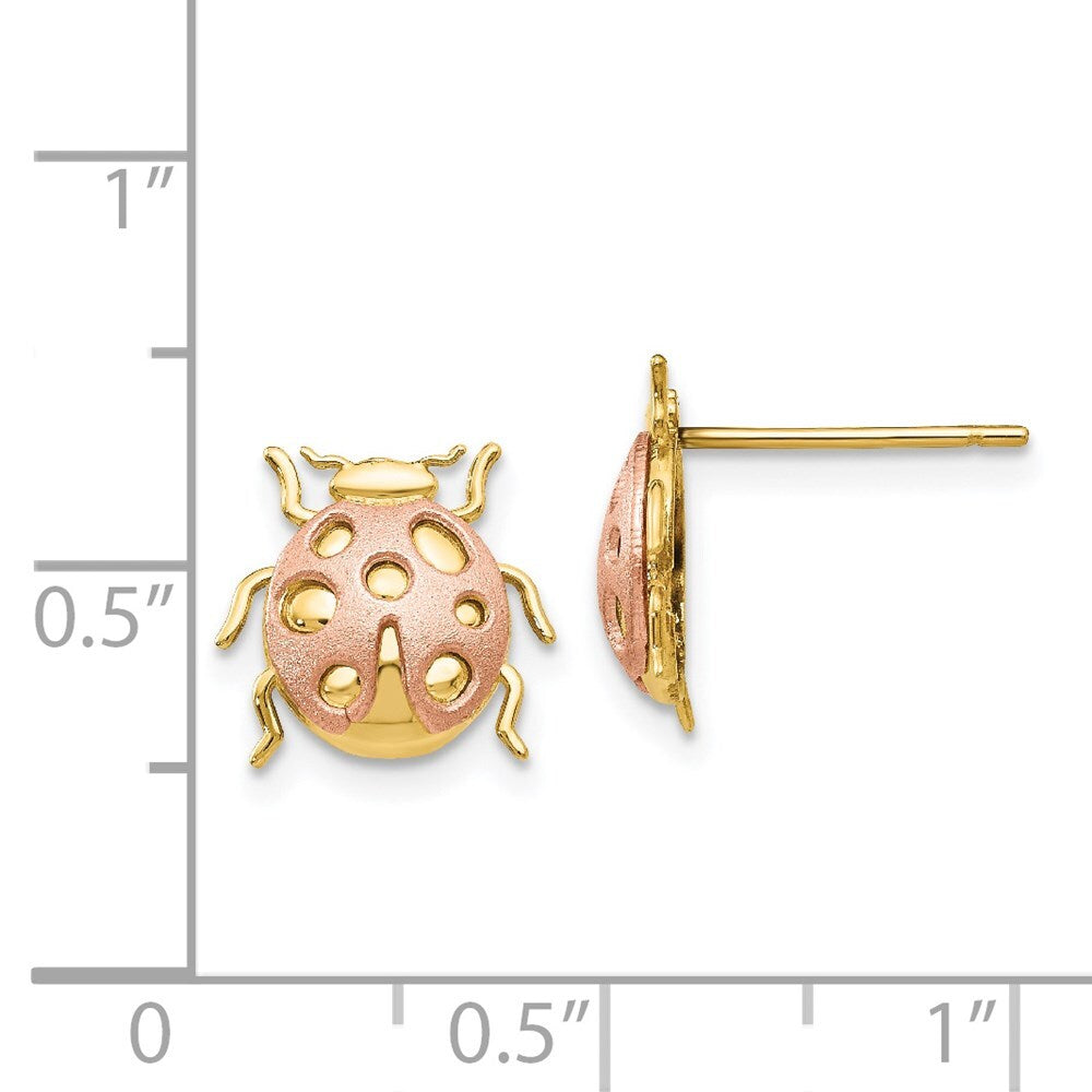 14k Two-Tone Gold Ladybug Stud Earrings