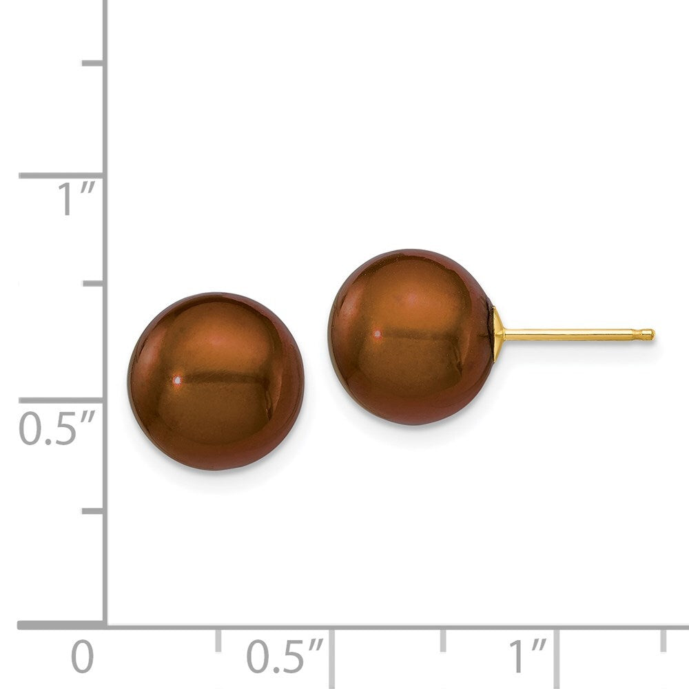 14k Yellow Gold 10-11mm Brown Round Freshwater Cultured Pearl Stud Earrings