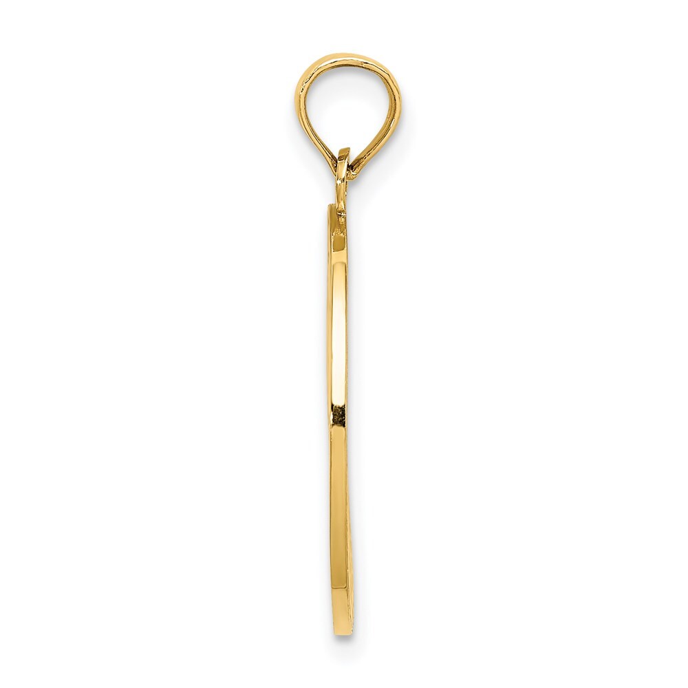 14k Yellow Gold TRAVERSE CITY MI Enamel Cherry Charm Pendant for Women