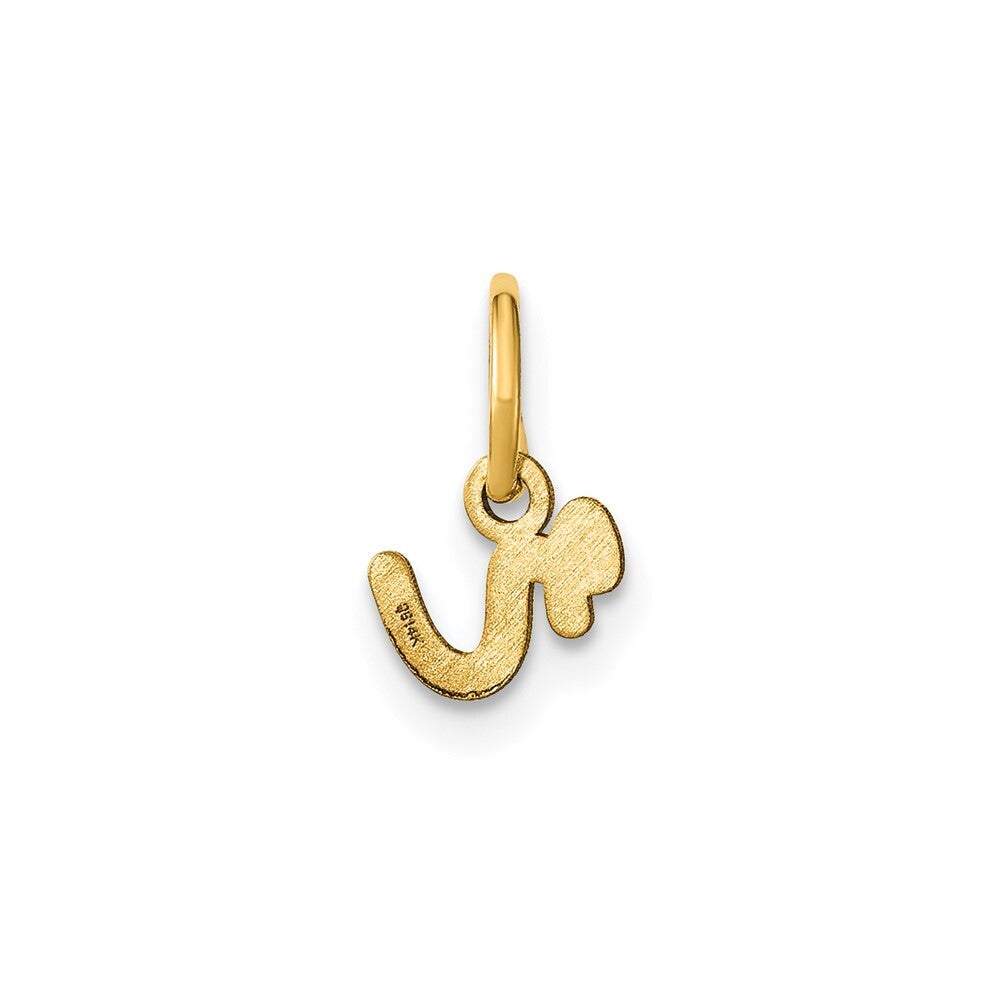 14k Yellow Gold Lower case Letter R Initial Charm Pendant for Women