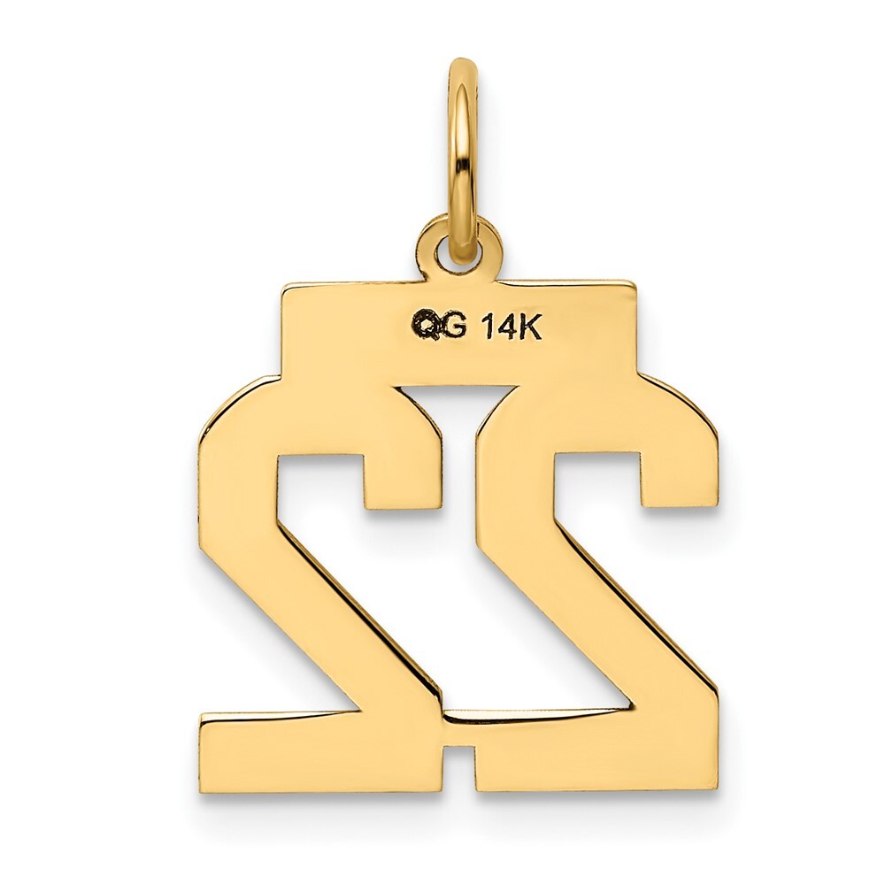 14k Yellow Gold Small Polished Number 22 Charm Pendant for Women