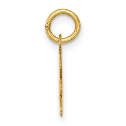 14k Yellow Gold Polished CLASS OF 2025 Charm