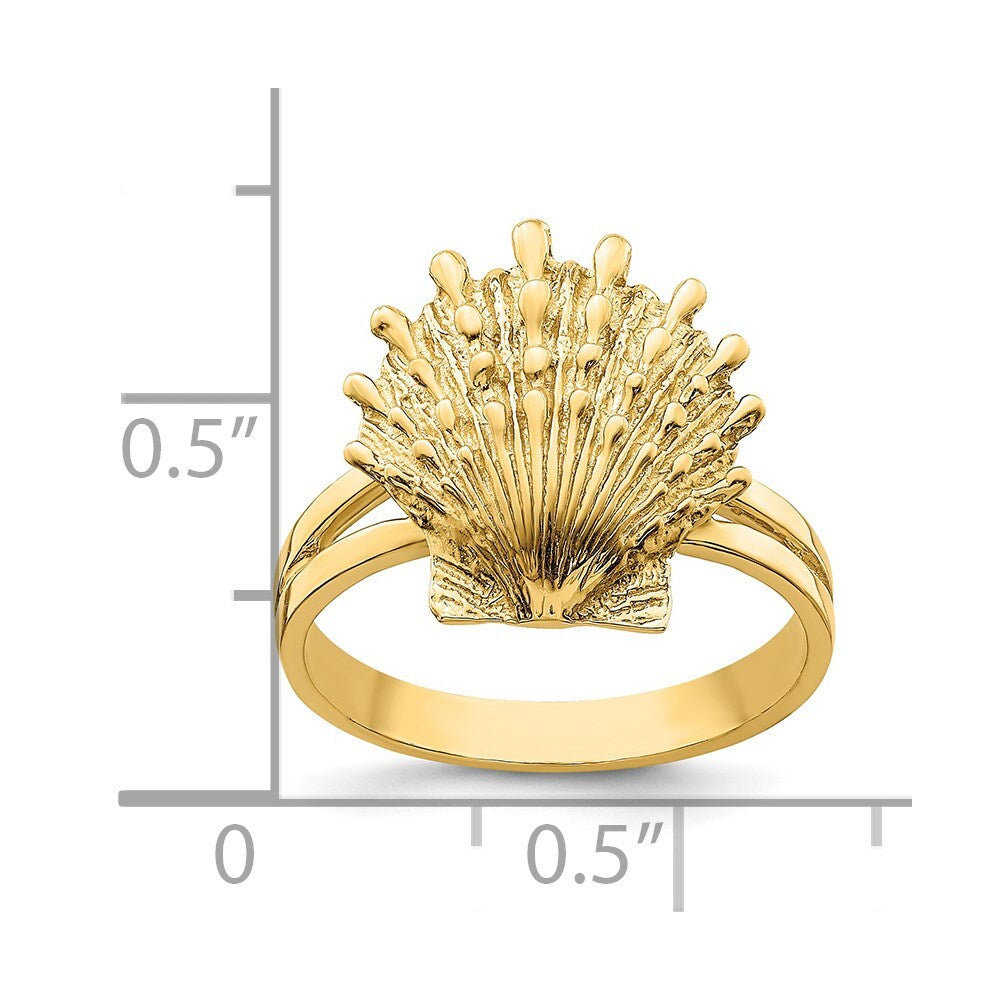 14K Yellow Gold Lion's Paw Shell Ring Size 5