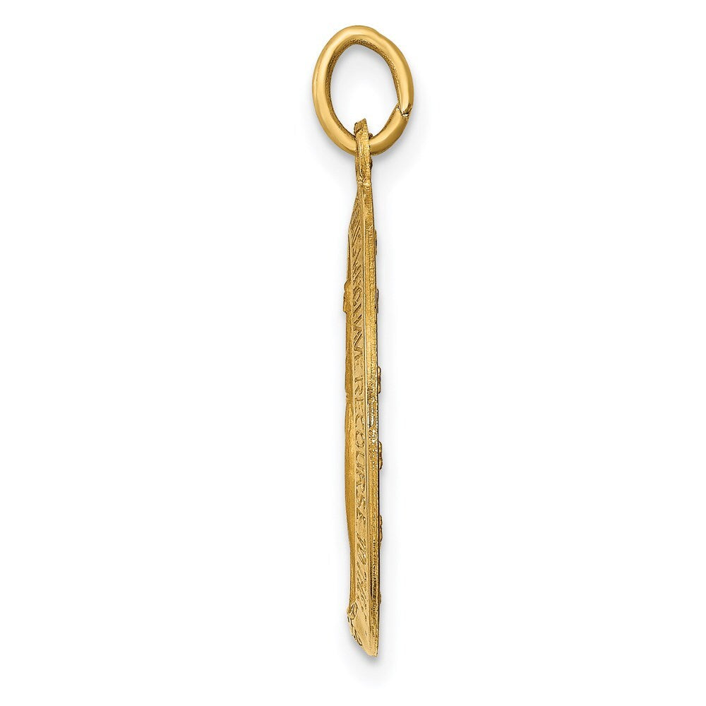 14k Yellow Gold Solid Polished and Satin Oval Miraculous Medal Pendant for Women
