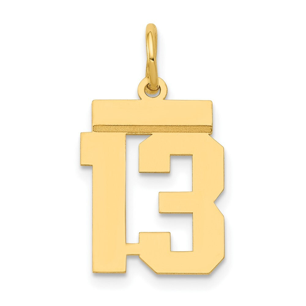 14k Yellow Gold Small Polished Number 13 Charm Pendant for Women