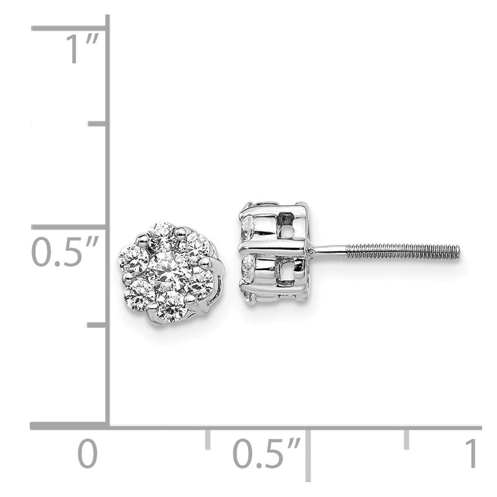 14k White Gold Diamond Cluster Screwback Stud Earrings