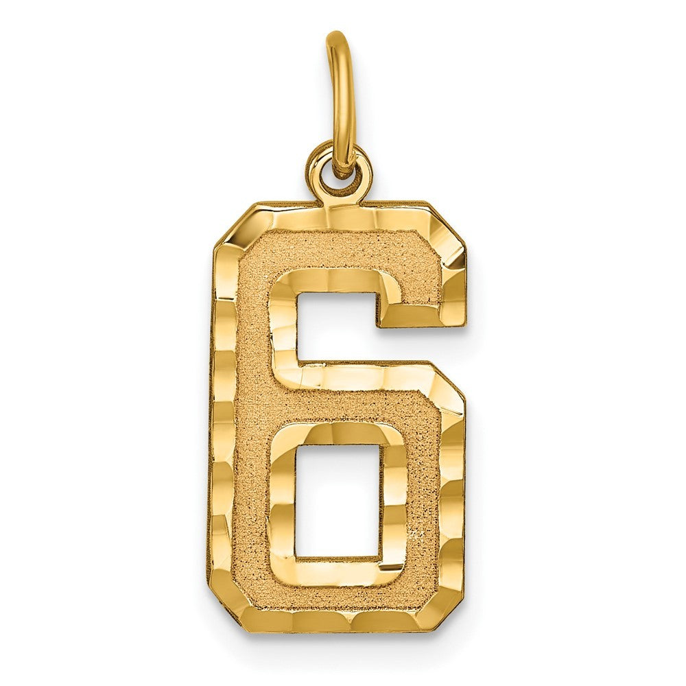 14k Yellow Gold Large Brushed Diamond-cut  Number 6 Charm