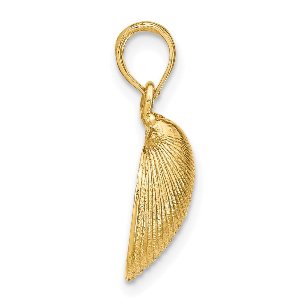14k Yellow Gold Medium Clam Shell Pendant for Women