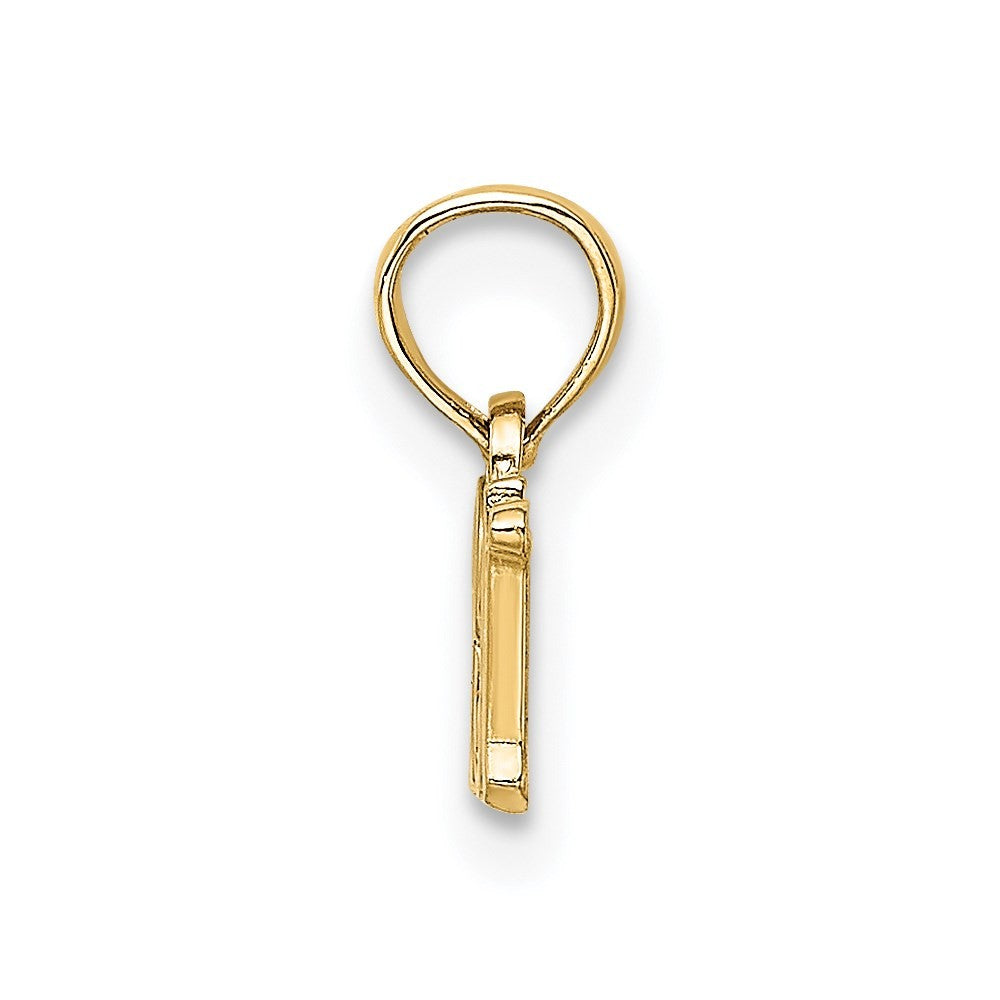 14k Yellow Gold RN Charm