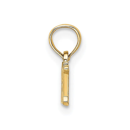 14k Yellow Gold RN Charm