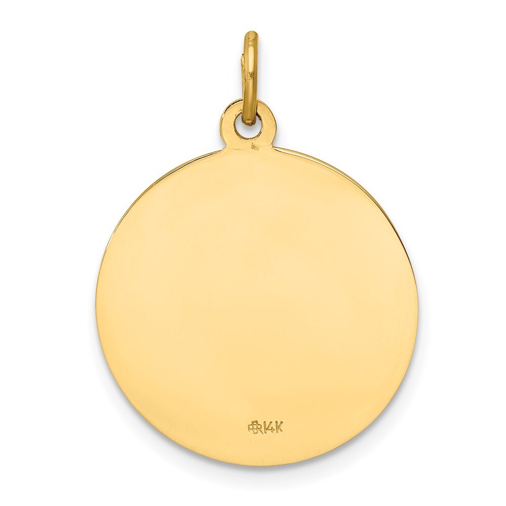 14k Yellow Gold Our Lady of Mt. Carmel Medal Charm Pendant for Women
