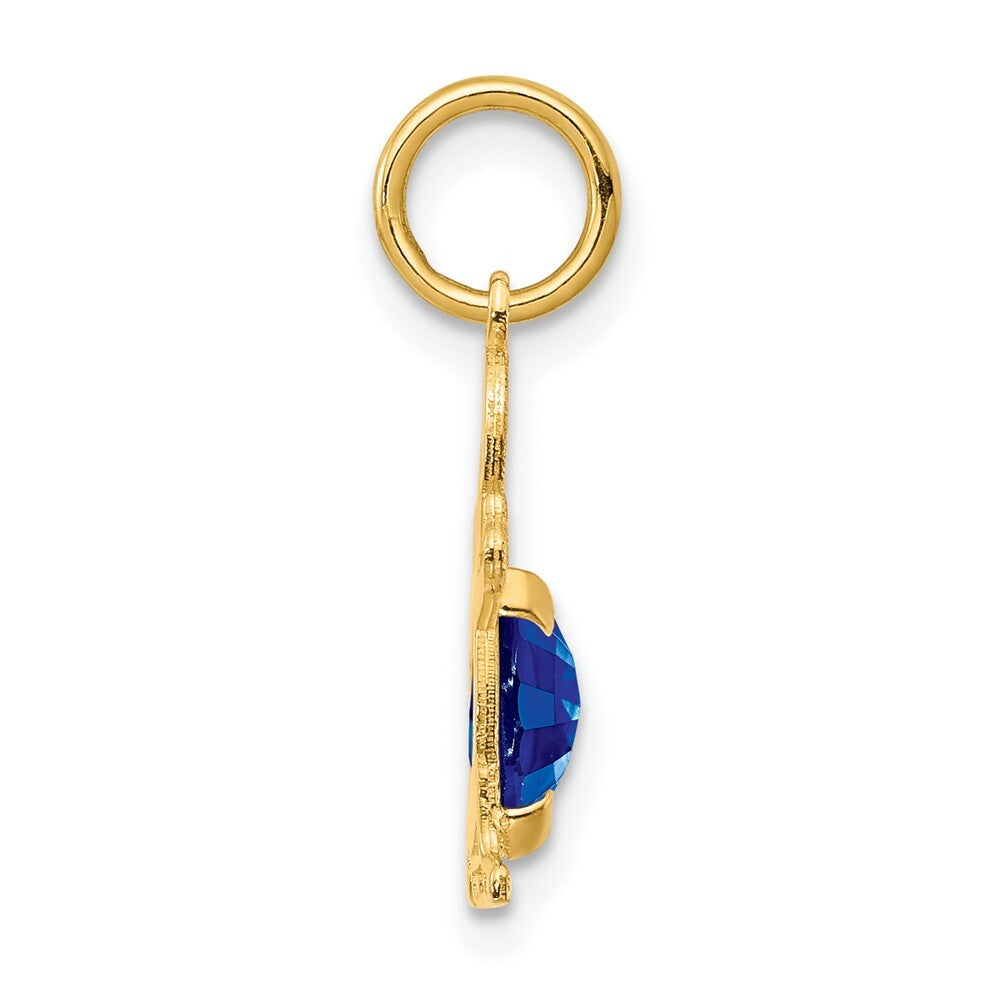 14k Yellow Gold Boy 6x4 Oval Genuine Sapphire-September Pendant for Women