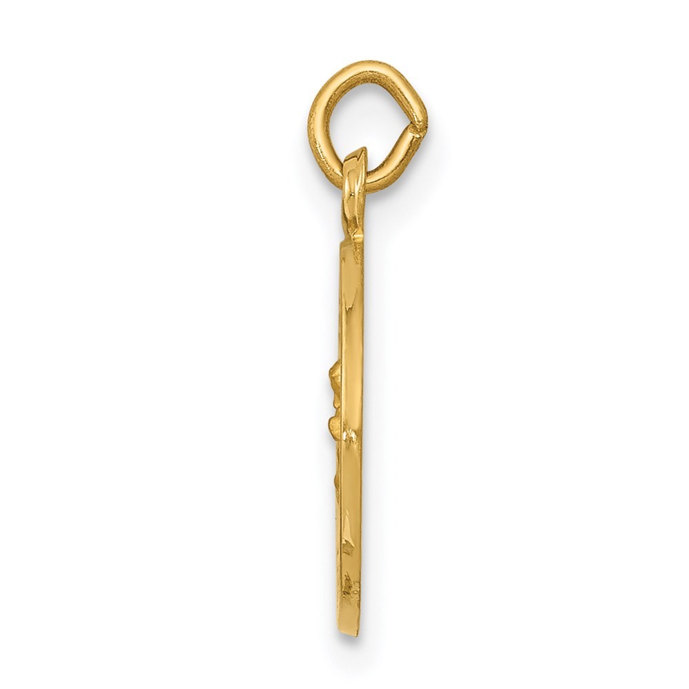 14k Yellow Gold Our Lady of Perpetual Help Medal Charm