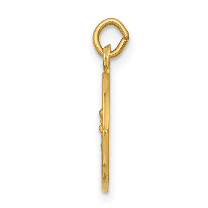14k Yellow Gold Our Lady of Perpetual Help Medal Charm