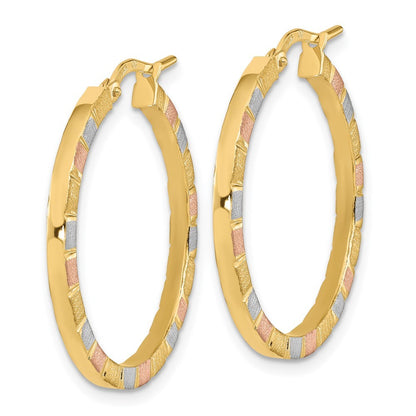14k Yellow Gold w/White & Rose Rhodium Polished & Satin Hoop Earrings