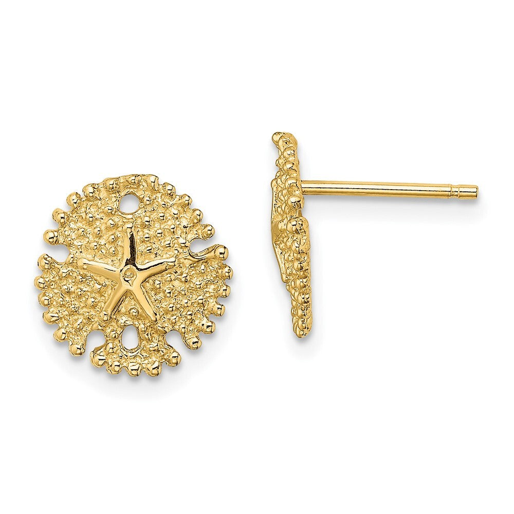 14k Yellow Gold Textured Sand Dollar Stud Earrings Gift for Women