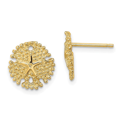 14k Yellow Gold Textured Sand Dollar Stud Earrings Gift for Women