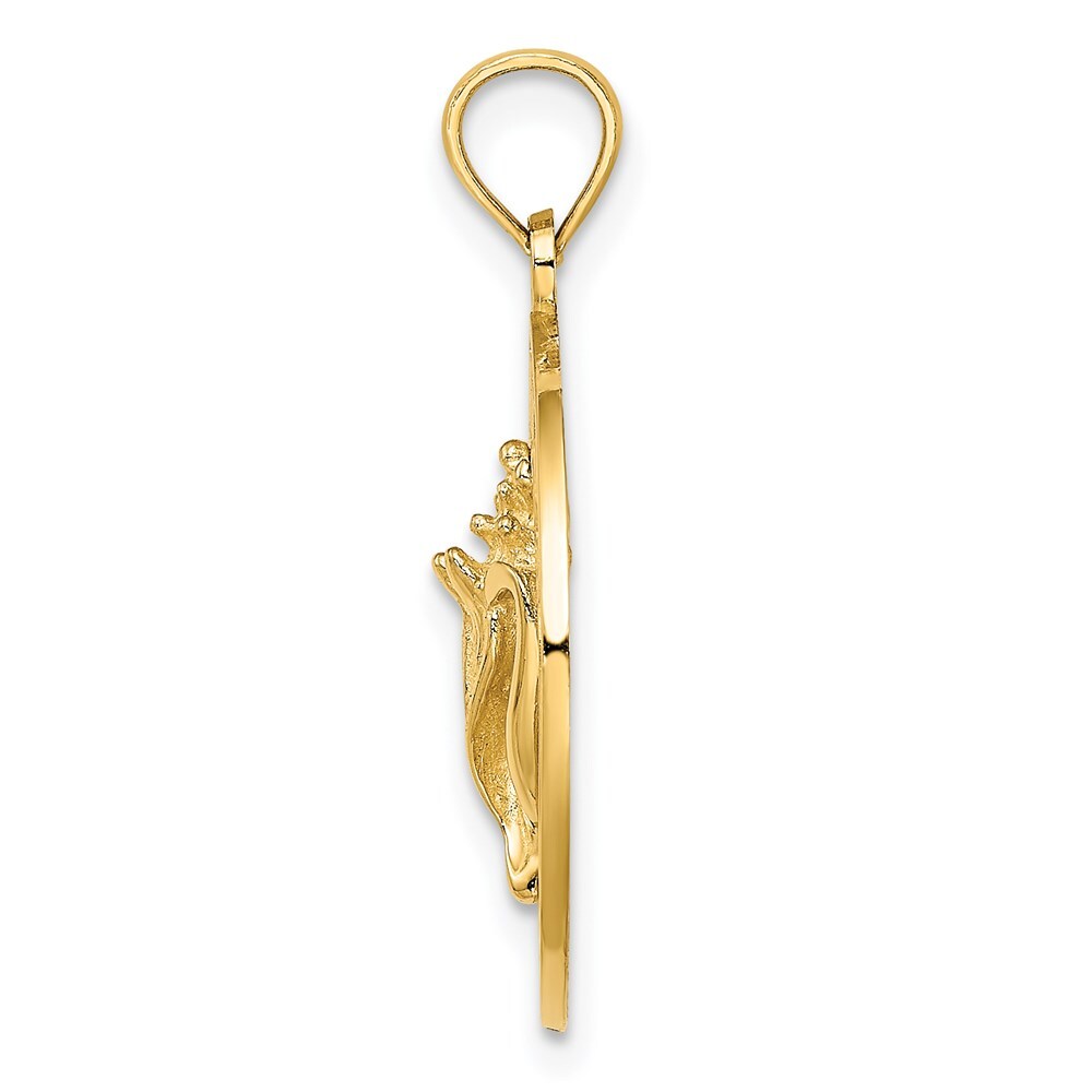 14k Yellow Gold JAMAICA Circle  Conch Shell Charm Pendant for Women
