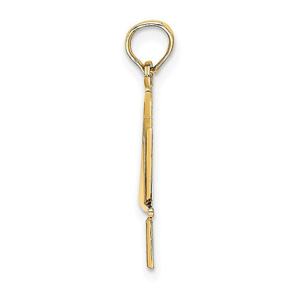 14k Yellow Gold Polished Star Of David Chai Charm Pendant for Women
