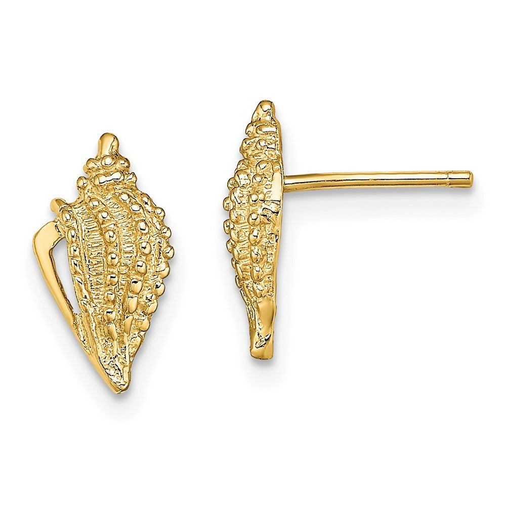 14k Yellow Gold Mini Conch Shell Earrings