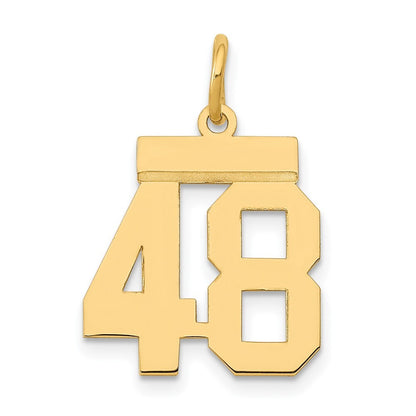 14k Yellow Gold Small Polished Number 48 Charm Pendant for Women