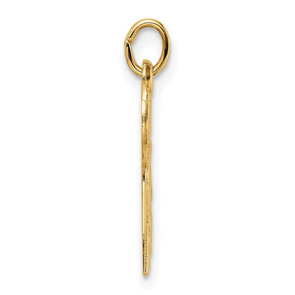 14k Yellow Gold Polished and Textured Solid Chai Symbol Pendant for Women