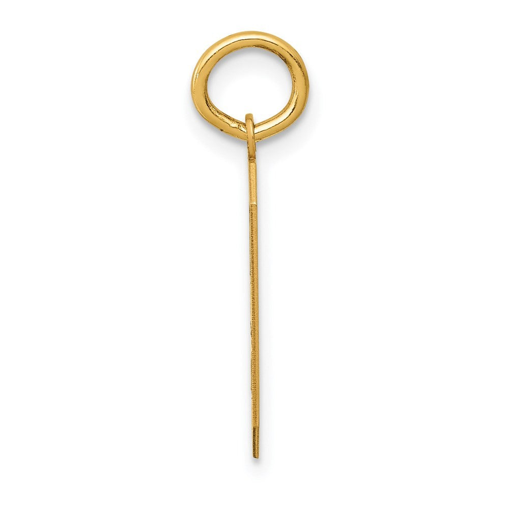 14k Yellow Gold Medium Satin Number 9 Charm