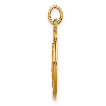14k Yellow Gold Solid Polished/Satin Small Round Miraculous Medal Pendant