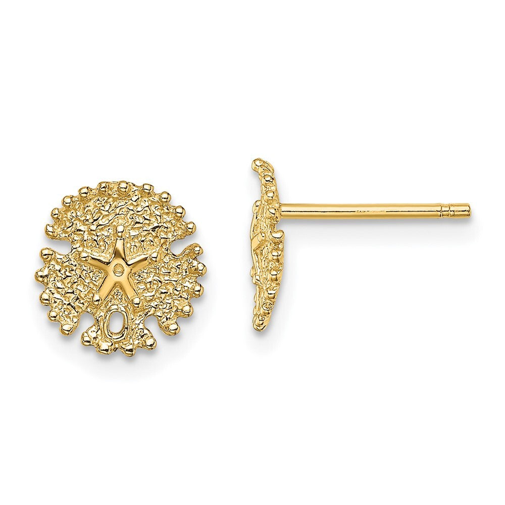 14k Yellow Gold Textured Sand Dollar Stud Earrings Gift for Women