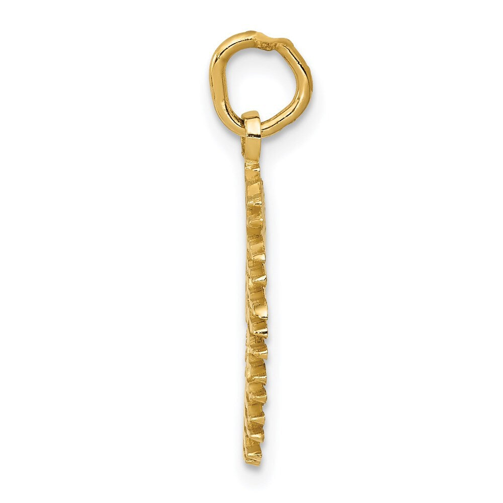 14k Yellow Gold Flaming Sun Charm Pendant for Women