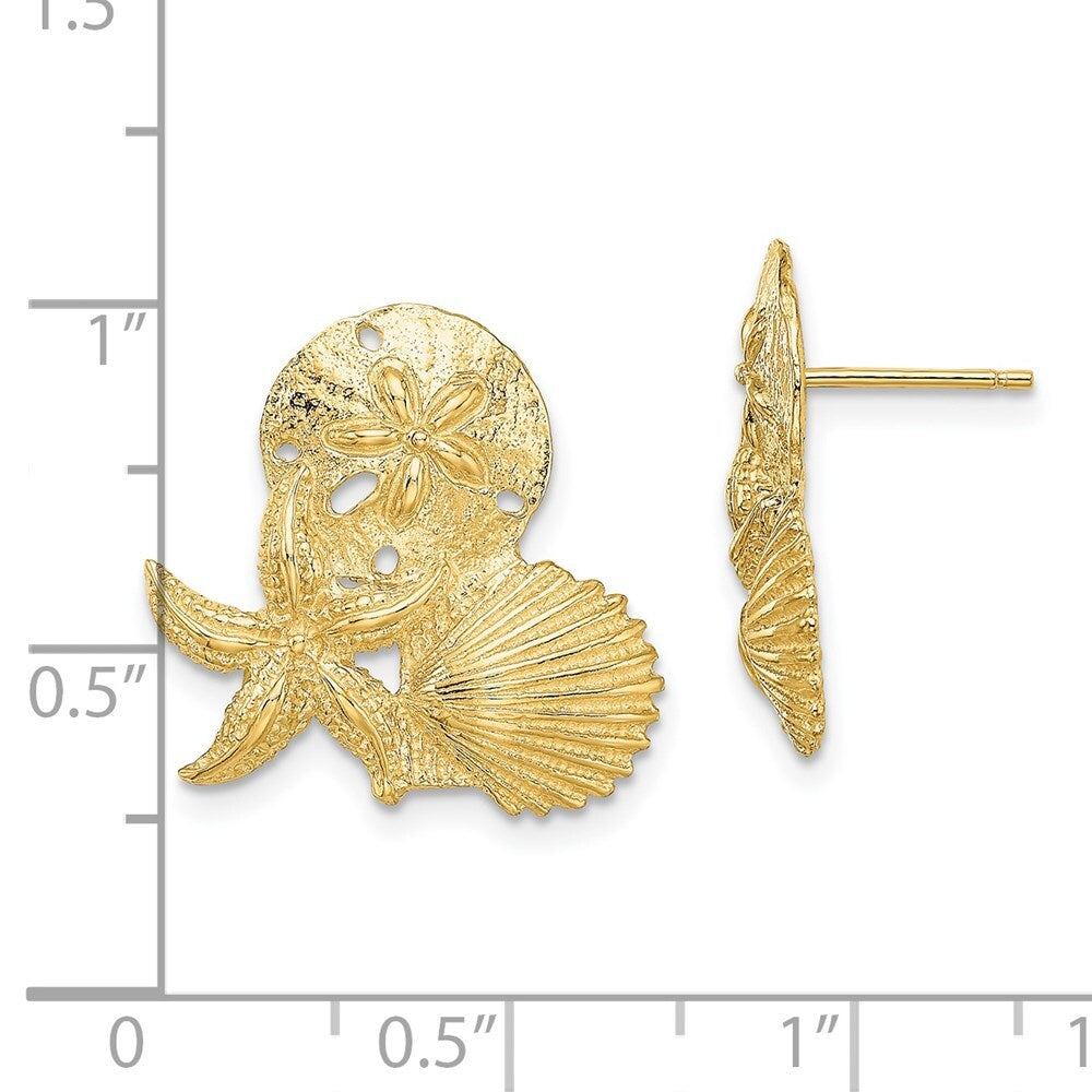 14k Yellow Gold Sand Dollar, Starfish, ,Scallop Cluster Stud Earrings