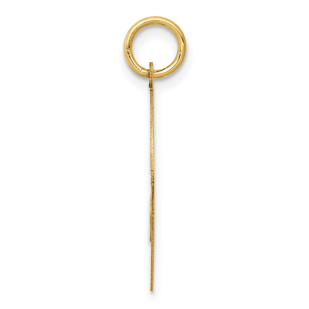 14k Yellow Gold Yorkshire Terrier Disc Charm