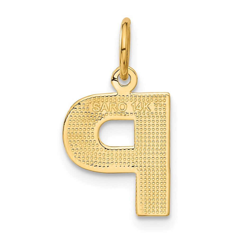 14k Yellow Gold Satin Diamond-cut Letter P Initial Charm Pendant for Women