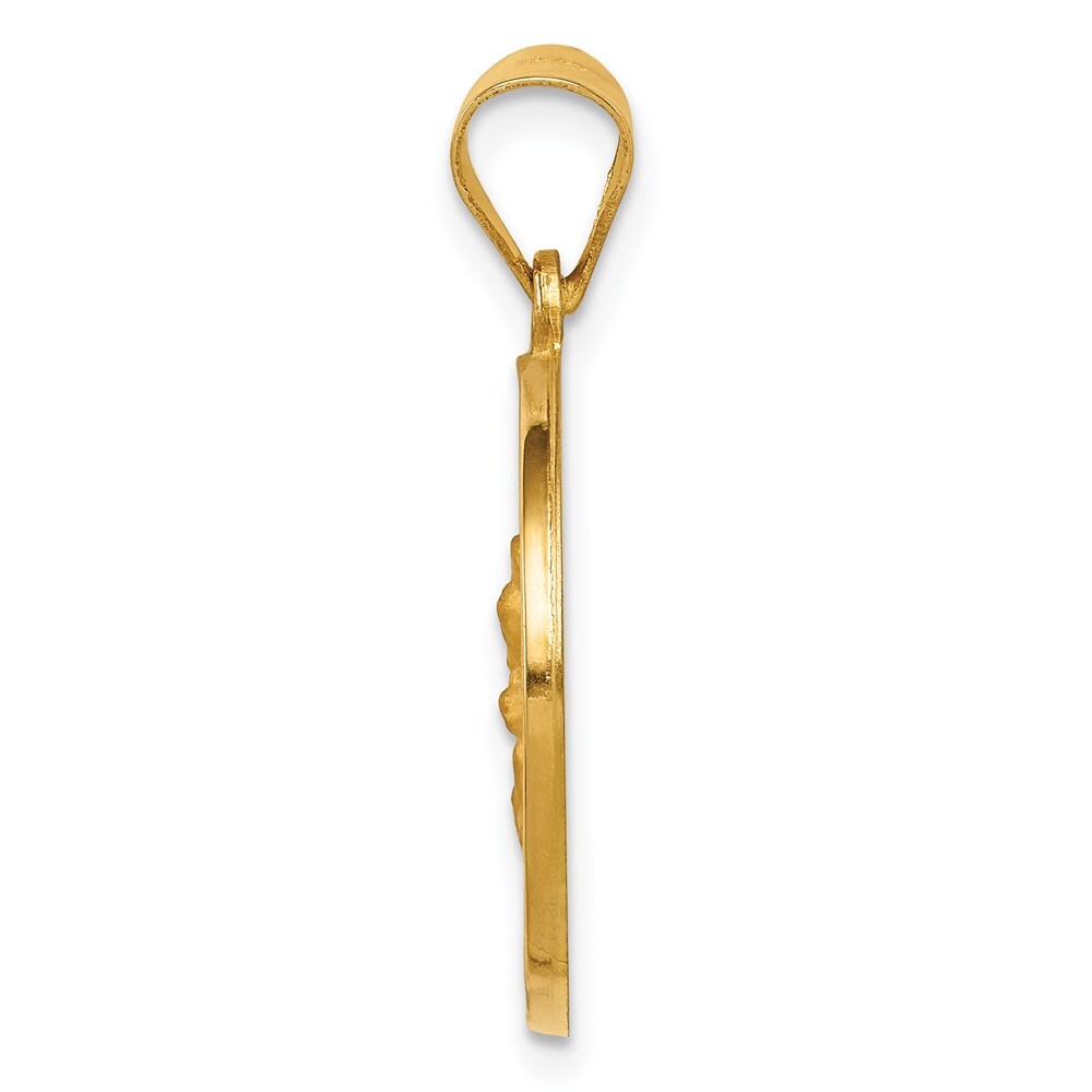 14k Yellow Gold Hollow Polished/Satin Spanish Perpetuo Socorro Medal