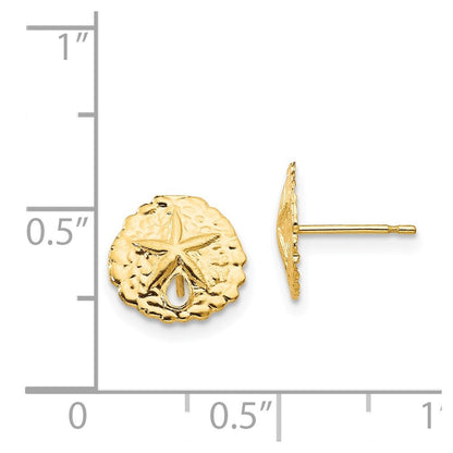 14k Yellow Gold Sand Dollar Stud Earrings Gift for Women