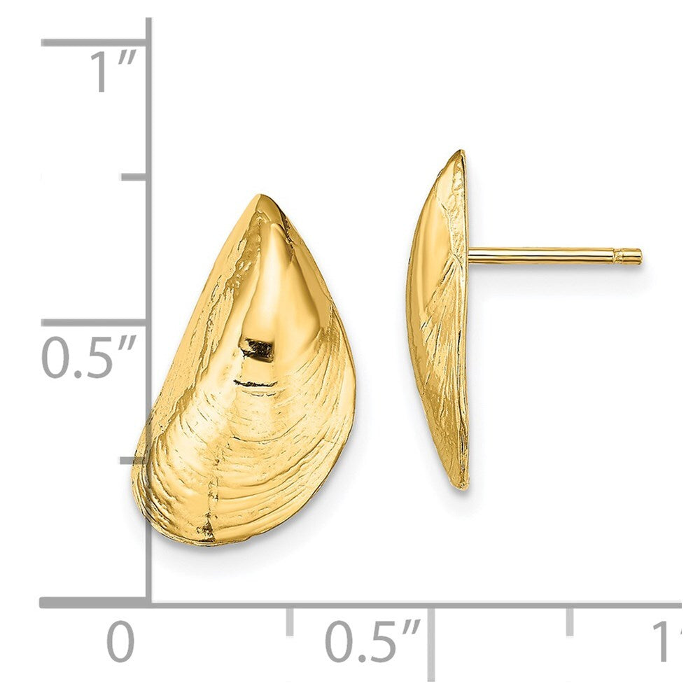 14k Yellow Gold Mussel Shell Stud Earrings Gift for Women