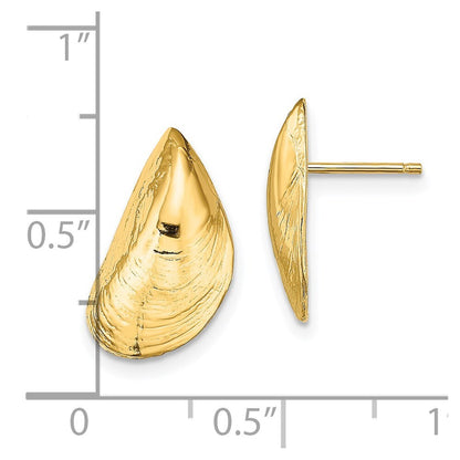 14k Yellow Gold Mussel Shell Stud Earrings Gift for Women