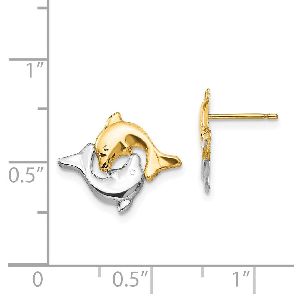 14k Yellow Gold Rhodium Dolphin Stud Earrings Gift for Women