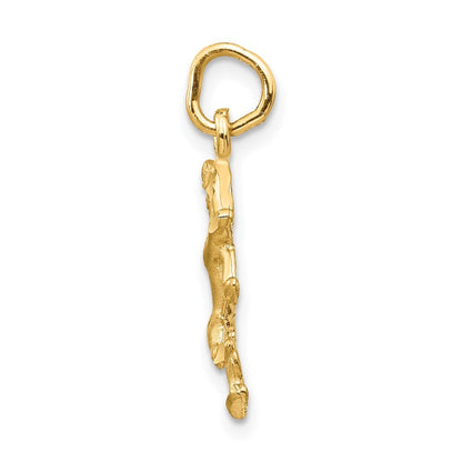 14k Yellow Gold Satin Diamond-cut Leo Zodiac Charm Pendant for Women