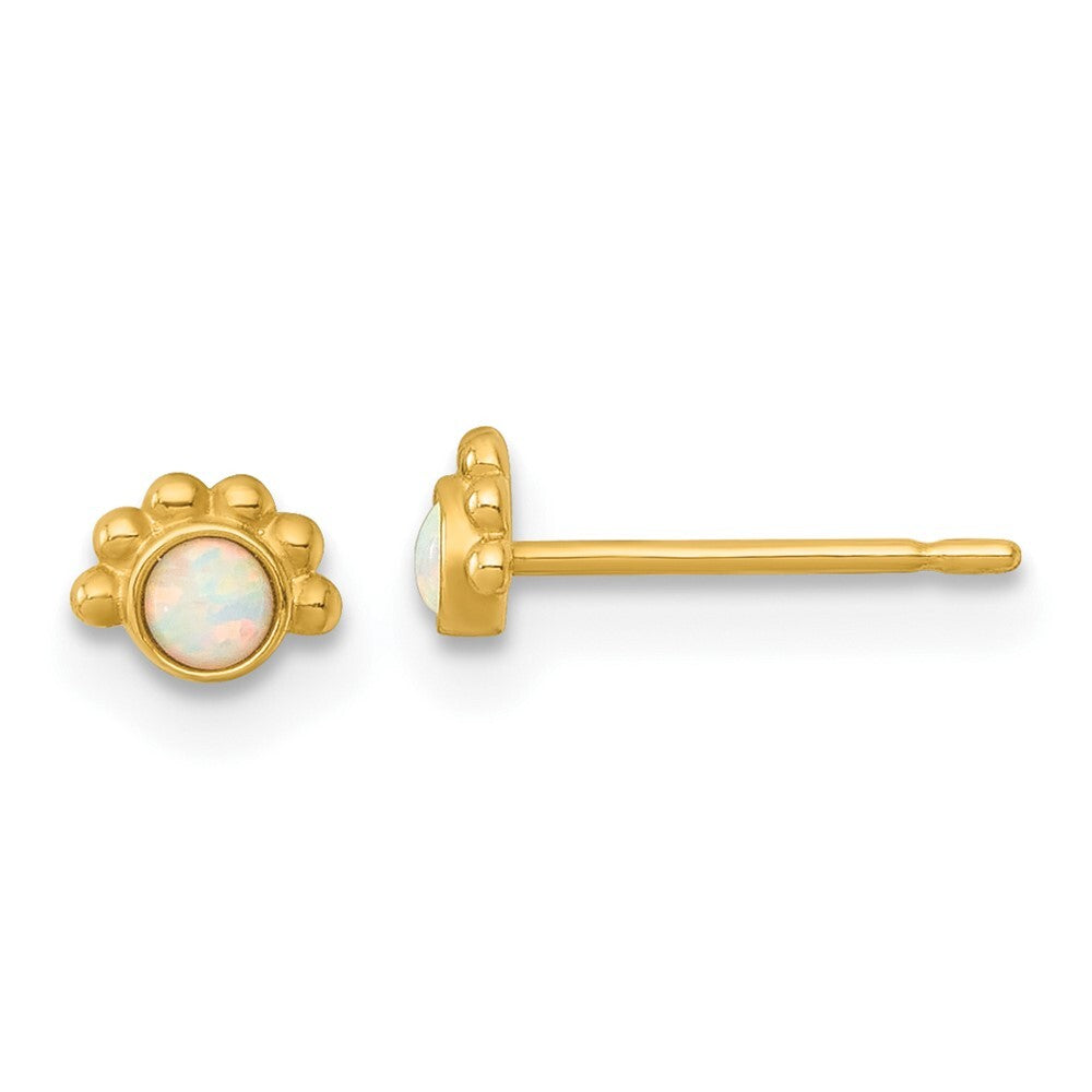 14k Yellow Gold Polished and Beaded Created Opal Stud Earrings Gift for Women
