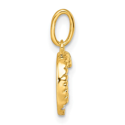 14k Yellow Gold Twisted with .05 ct. Diamond Initial C Charm