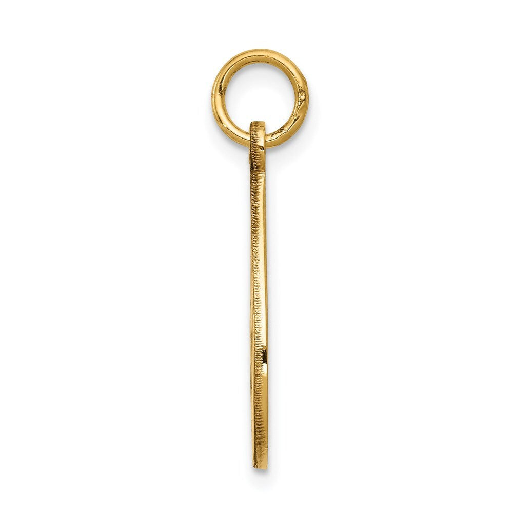 14k Yellow Gold Medical Jewelry Unenameled Pendant for Women